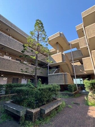 パークサイド野川公園の物件内観写真